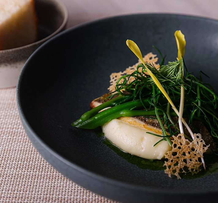 ランチイメージ